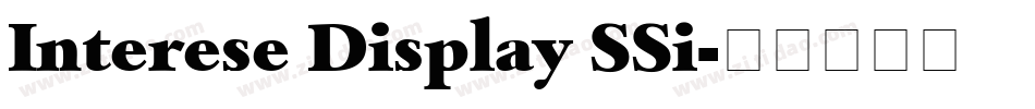 Interese Display SSi字体转换